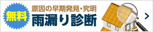 雨漏り診断